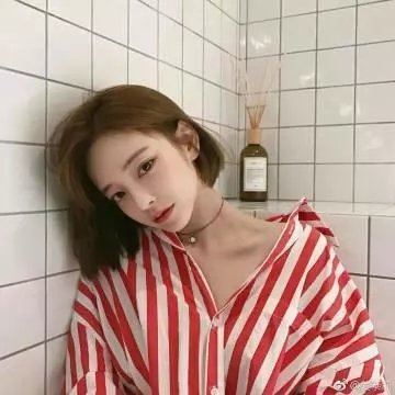 向政府说不